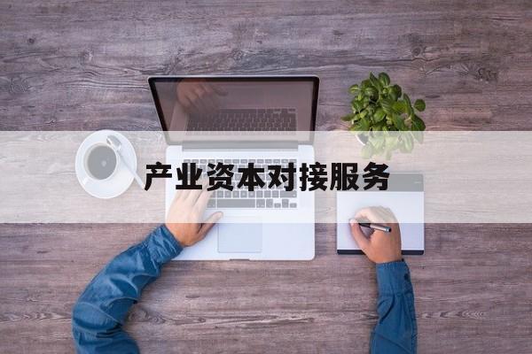 产业资本对接服务(产业资本对接服务包括哪些)安阳市